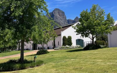 Museumbezoek | Franschhoek Motor Museum