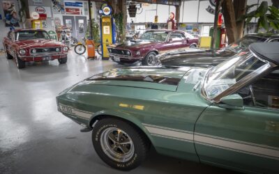 Man & Machine | Ford Mustang Shelby