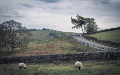 Roadtrip | Pieken met Porsche