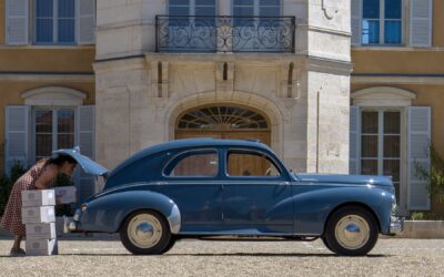 Roadtrip | Druiven plukken in Meursault