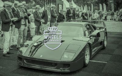Wheels Mariënwaerdt | The Big 5 en meer…